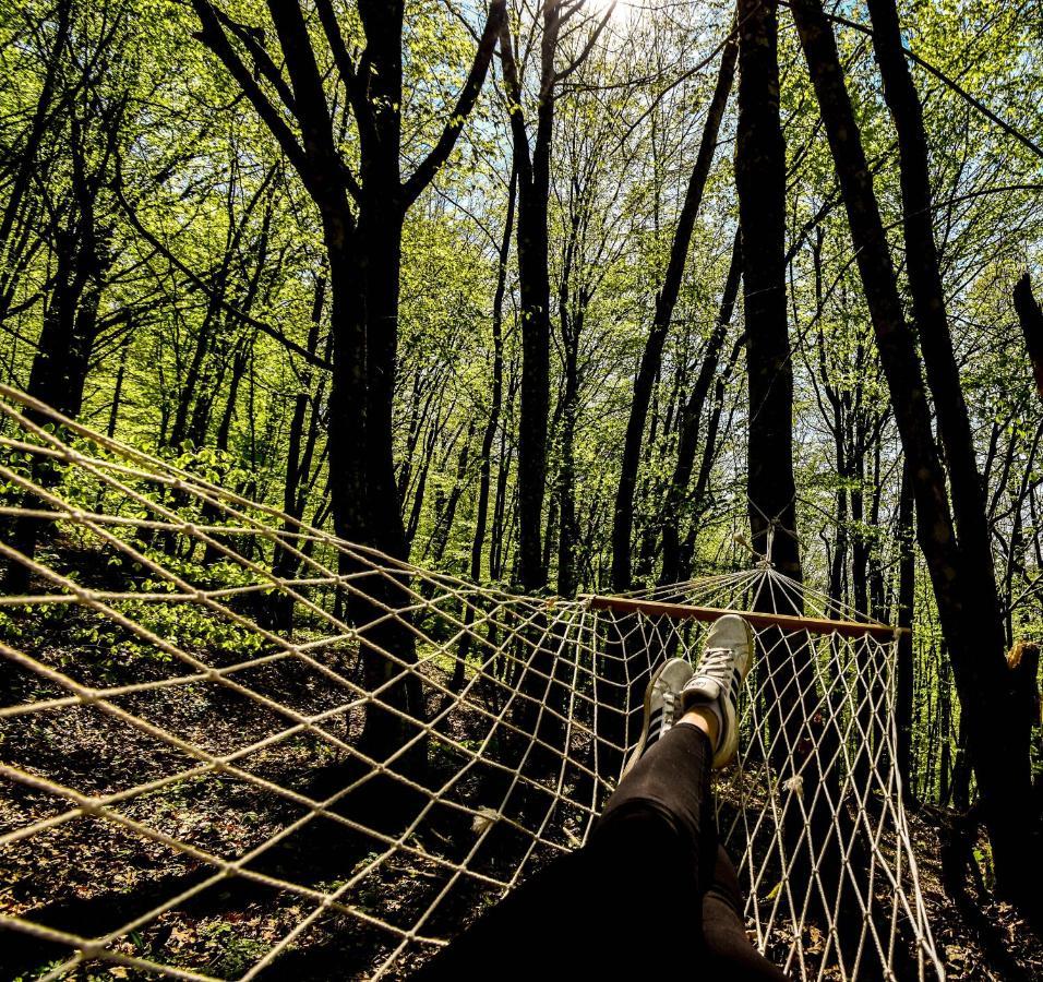 Robinzonski Turizam "Robin' S Hood" Skrad Zewnętrze zdjęcie