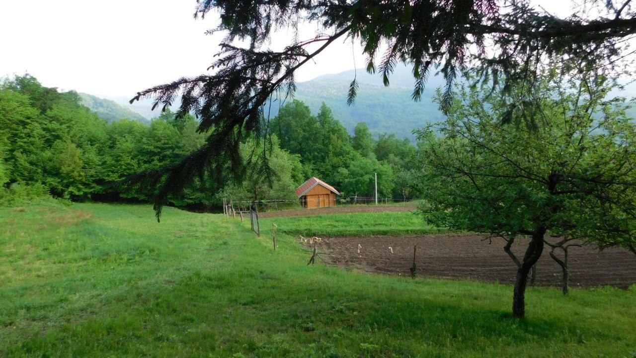 Robinzonski Turizam "Robin' S Hood" Skrad Zewnętrze zdjęcie